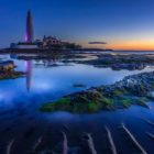 Executive Coaching Alternative