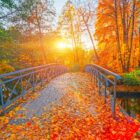 Autumn leaves scatter across the footbridge with reds and oranges prevalent